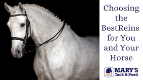 Choosing the Best Reins for You and Your Horse