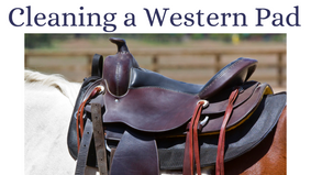 How to Clean Western Saddle Pads