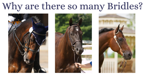  What are the Different Types of Horse Bridles?