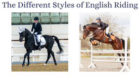 What are the Different Styles of English riding?