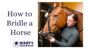 How to Bridle a Horse