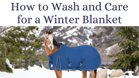 How to Wash and Care for a Horse Blanket