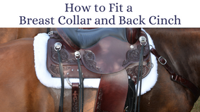 How to Fit a Breast Collar and Back Cinch