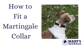 How to Fit a Martingale Collar