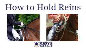 How to Hold Reins