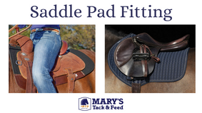 How Should a Saddle Pad Fit?