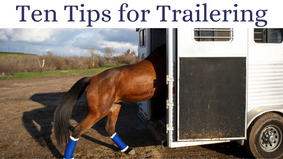  Ten Tips for Trailering Your Horse