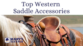 Top Saddle Accessories for Your Western Saddle