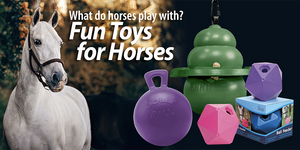 What do horses like to play with? Top Fun Toys for Horses