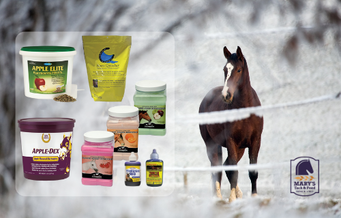 Mary’s Top Equine Therapy Products for Winter