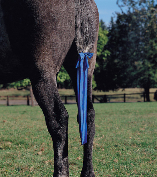 Jammies Lycra Tailbag  BLUE