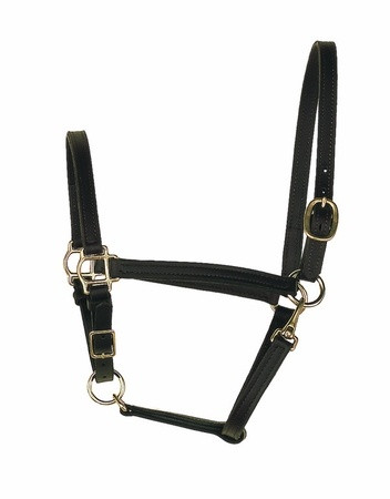 https://d3d71ba2asa5oz.cloudfront.net/12002466/images/perri-s-3-4-inch-leather-turnout-halter-1__92560.jpg