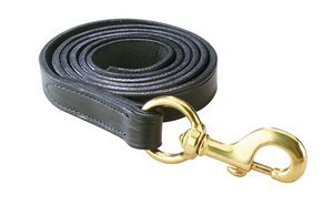 https://d3d71ba2asa5oz.cloudfront.net/12002466/images/perri-s-leather-lead-with-brass-snap-1__63908.jpg