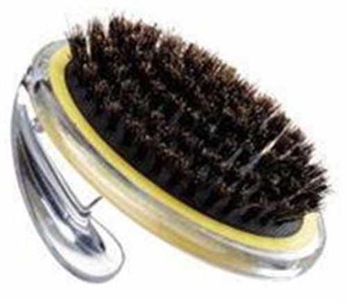 bristle brush dog