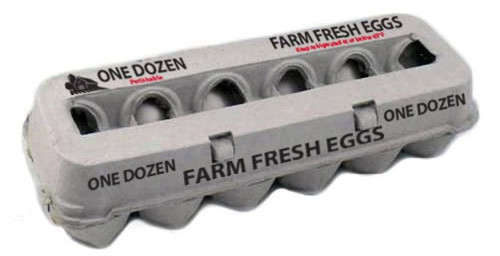 Cardboard Egg Carton