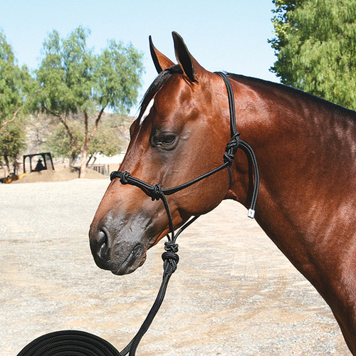 Professional's Choice Clinician Halter with 15 foot lead