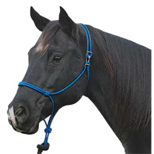 Silvertip Rope Halter with Clip Horse Halters