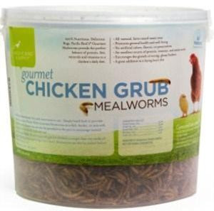 Gourmet Chicken Grub Mealworm Treats 14 oz