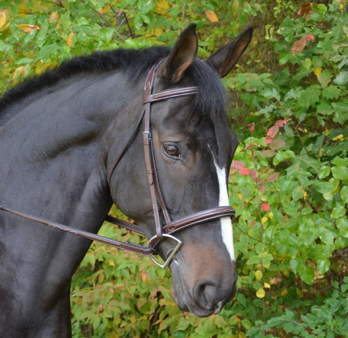 Black Oak Cyprus Snaffle Bridle