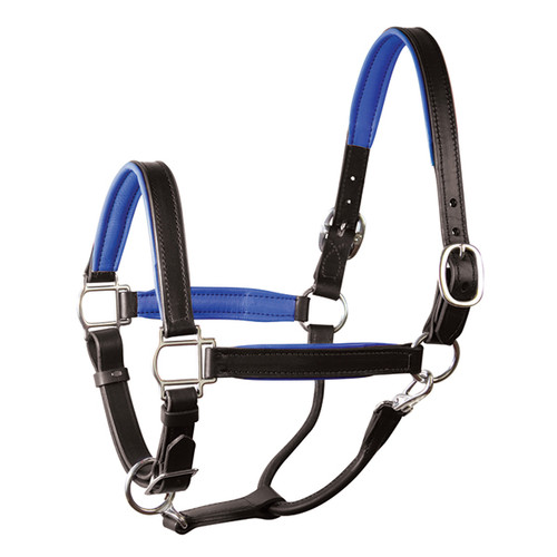 Perri's Padded Leather Halter w/ Color Trim- Horse Tack