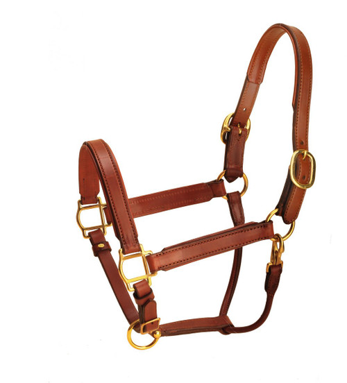 Tory Leather Padded Halter Brass- Horse Halters