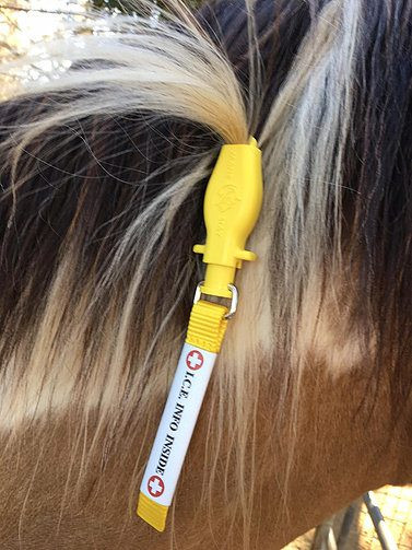 mane-stay-ice-info-on-mane