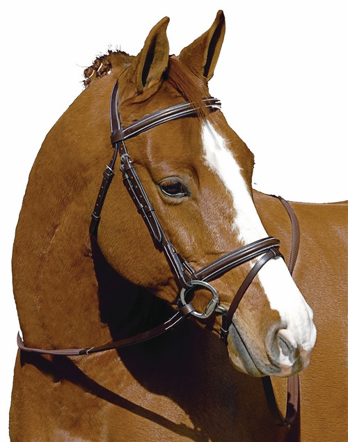 5106-hdr-pro-monocrown-flash-bridle