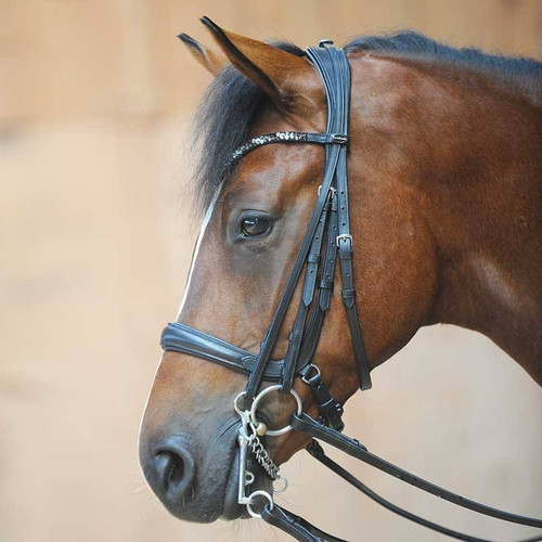 Kavalkade Ivonne Convertible Double Bridle
with weymouth