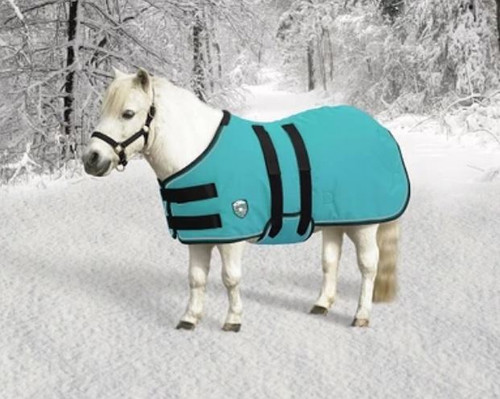 Horse Blankets Turnout Blankets Stable Blankets Winter Horse