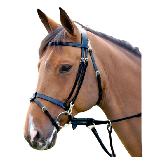 Dy'on Flat Snap Flash Bridle
Black