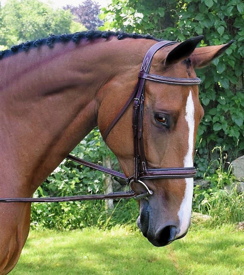 Black Oak Laurel Wide Fancy Stitch Hunter Bridle