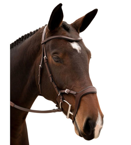 KL Select Tucson Bridle