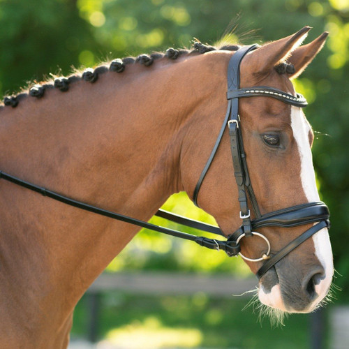 Red Barn Topline Snaffle Bridle- Dressage Tack