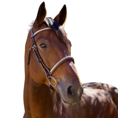 Halter Ego Galway Jumper Bridle Clincher Bridles