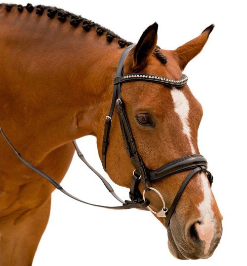 KL Select Impulsion Snaffle Bridle front angle