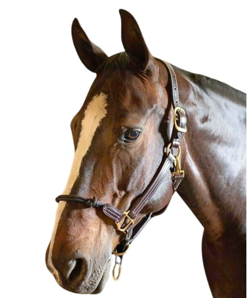 Walsh Rope Nose British Halter HORSE