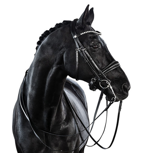 LT Essential Double Bridle BLACK right