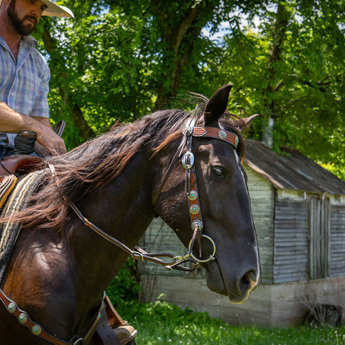 Pony BLR Basketweave Turquoise Concho Breast Collar DARK