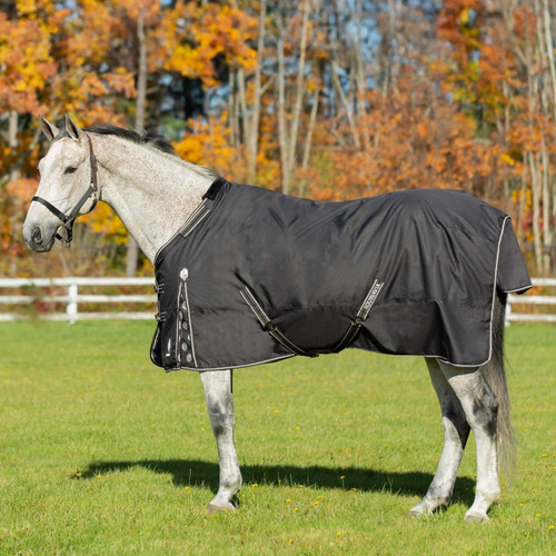 Equinavia Norse Lightweight Turnout Blanket 100g