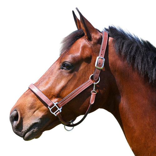 ADT Tack Premium X Halter BROWN