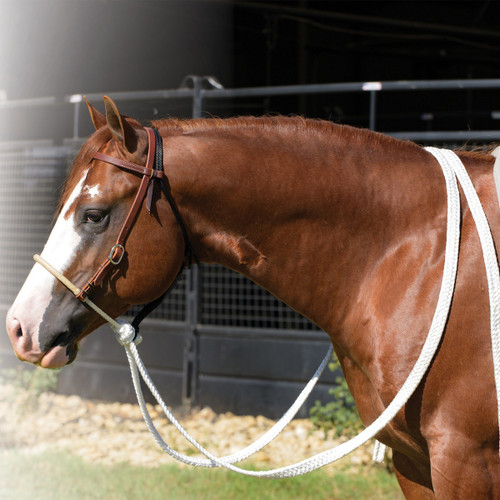 Professional's Choice Ranch Loping Hackamore