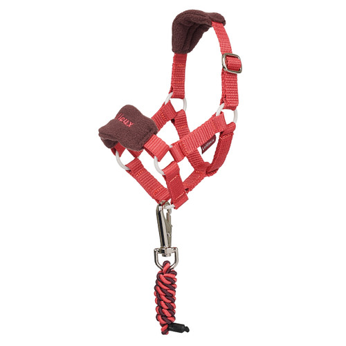 LeMieux Toy Pony Vogue Halter CRANBERRY