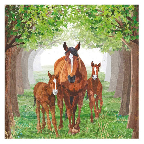 Timberland Paper Beverage Napkins