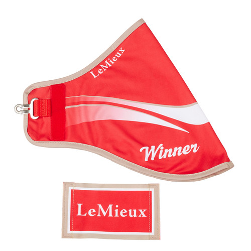 LeMieux Hobby Horse Winner Blanket