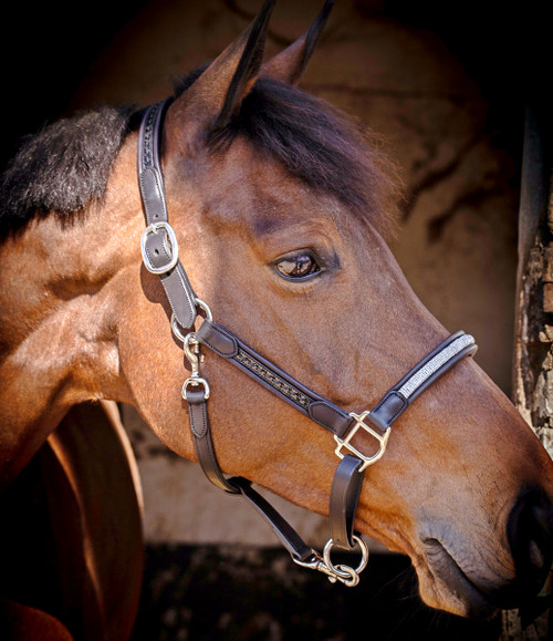 Pénélope Harmonie Leather Halter