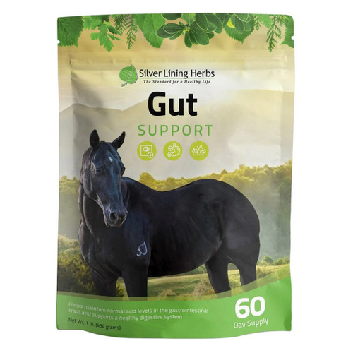 Silver Lining Herbs Equine Gut Support 1LB FRONT