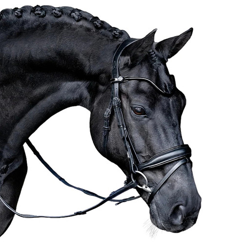 Lumiere Penny Bridle BLACK FRONT ANGLE