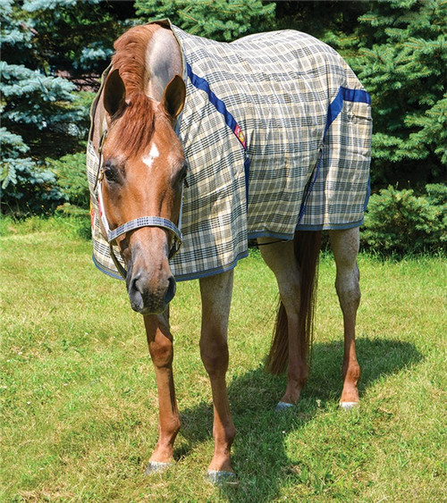 5/A Baker Stable Sheet- Horse Blankets