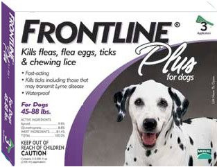 frontline plus collar