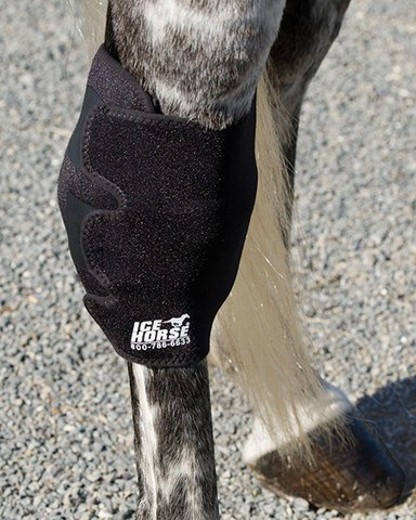 Ice Horse Hock Wrap with Inserts - SINGLE